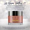 SNS Nail Dip Powder, Gelous Color Dipping Powder - Salon & DIY Nail Art view 2