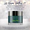 SNS Nail Dip Powder, Gelous Color Dipping Powder - Salon & DIY Nail Art view 2