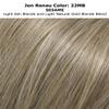 16" EasiXtend Professional Extensions Color 22MB Sesame - Easihair Hairpieces Human Hair 8 Pieces Clip In Heat Friendly Womens Long Natural Blend No Tangling Bundle MaxWigs Hairloss Booklet view 2