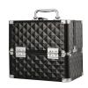 DMCESWFC for/Travel,Portable/Lockable/Makeup Train Case,Mirror/with Handle/Waterproof/Makeup Artist Box (Black) view 1