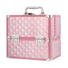 DMCESWFC for/Travel,Portable/Lockable/Makeup Train Case,Mirror/with Handle/Waterproof/Makeup Artist Box (Pink) view 1