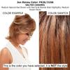 EasiPart HD XL 8" Length Topper Color FS26/31S6 Salted Caramel- Easihair Hairpieces Heat Friendly Synthetic Clip In 1 Piece Monofilament 3 x 5.75 Base Cover Thinning Bundle MaxWigs Hairloss Booklet view 2