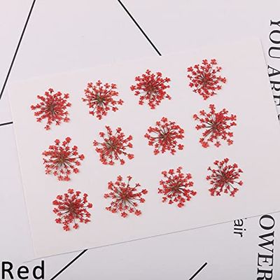 Crysdaralovebi 120pcs Natural Dried White Lace Flowers Pressed Plant for Nail Art Snow Bead Floras DIY Gift Craft Phone Shell Case Deco (Red)