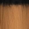 Mayde Beauty Candy Drawstring Ponytail BUBBALICIOUS 24" (OT27) view 4