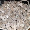 Desert Rose Individual Balls view 1
