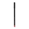 Anastasia Beverly Hills Lip Liner Dusty Rose view 2