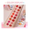 ANMANSY Lipstick, Mini Lipstick Set, 16 Matte Lipsticks 16 Colors, Velvet Waterproof Long Wear Capsule Lipstick, Ladies Matte Lipstick Set view 3