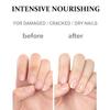 COSNORI Silk Repair Nail Cream - Intensive Nail & Cuticle Hydration with Silk-Fibroin - Non Oily Formula - For Dry & Damaged Nails - Gel Nail Recovery, 15ml (0.5 fl. oz.) view 3