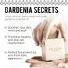 GARDENIA SECRETS | Gentle Cleanser made of Cold Pressed Virgin Olive and Essential Oils Authentic Lebanese Recipe for Face & Body Long Lasting Artisanal Bar Soap Handmade Aged 5 Months view 4