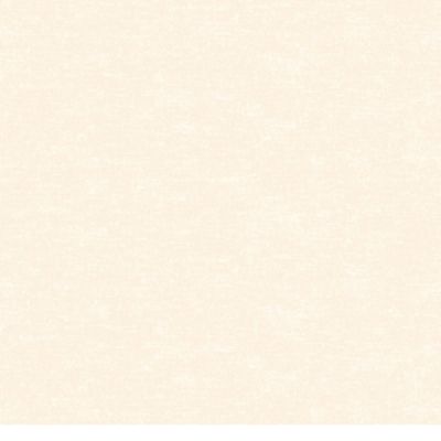 Benartex Cotton Shot Pearl 9636P 71 Creme Brulee