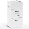 BarberPub Salon Storage Cabinet Beauty Locker Hair Dryer Holder Stylist Spa Equipment with Drawer 2035 (White) view 1