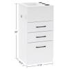 BarberPub Salon Storage Cabinet Beauty Locker Hair Dryer Holder Stylist Spa Equipment with Drawer 2035 (White) view 2