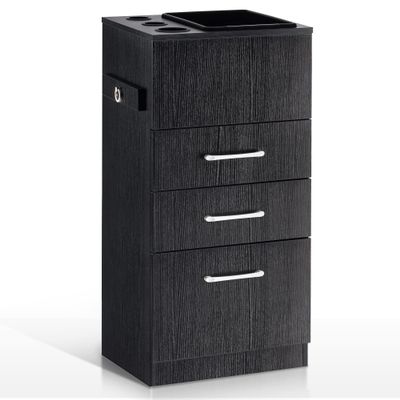 BarberPub Salon Storage Cabinet Beauty Locker Hair Dryer Holder Stylist Spa Equipment with Drawer 2035 (Black)
