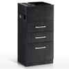 BarberPub Salon Storage Cabinet Beauty Locker Hair Dryer Holder Stylist Spa Equipment with Drawer 2035 (Black) view 1