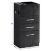 BarberPub Salon Storage Cabinet Beauty Locker Hair Dryer Holder Stylist Spa Equipment with Drawer 2035 (Black) view 2