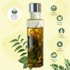 A.K. NAT Habit TriLeaf Hair Fall Control Summer Dasabuti Hair Oil | Hair & Scalp Massage, Hair Growth, Dry Frizzy Hair | Ayurvedic, Herbal, Fresh Made | Castor, Coconut, Amla (100ml) view 2