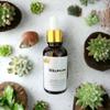 Volufiline Ampoule Serum 100% From France For Face And Body 1oz view 3