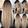JOUKAYEA Long Ombre Brown Blonde Wig for White Black Women, Synthetic Straight Highlight Dirty Blond Wig with Dark Roots, Golden Hispanic Ladies Realistic Natural Looking Hair Replacement Wigs view 1