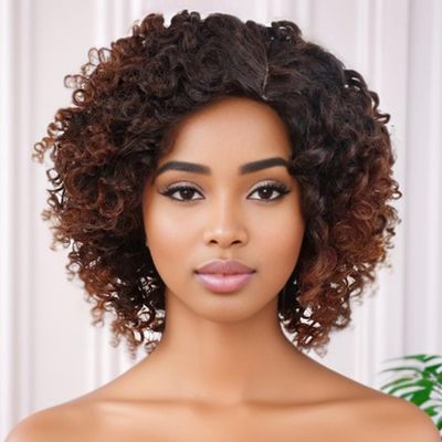 GNIMEGIL Ombre Brown Afro Wigs 70s For Women Short Curly Wig With Side Bangs Synthetic Natural Hair African American Wigs For Black Women Afro Curly V Part Wig Highlights Braided