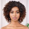 GNIMEGIL Ombre Brown Afro Wigs 70s For Women Short Curly Wig With Side Bangs Synthetic Natural Hair African American Wigs For Black Women Afro Curly V Part Wig Highlights Braided view 1