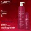 Amitys SOS Recovery Shampoo 300ml, Amino Acid, Silk protein D-Panthenol, Protects Damaged Hair Fiber Repair, Capillary Strengthening view 3