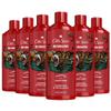 Old Spice Bearglove 2-in-1 Shampoo & Conditioner for Men, Healthier, Fuller, More Moisturized Looking Hair, 13.5 Fl Oz Each (Pack of 6) view 1