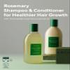 AROMATICA Rosemary Scalp Scaling Shampoo and Conditioner Set 13.53 fl.oz each  Vegan Korean Hair Care Gift Set for Woman with Rosemary Oil. Sulfate Free Shampoo Conditioner For Hair Growth view 2