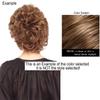 Jon Renau Top Wave 12" Length Color 10H16 Latte Hairpieces Clip In Topper Double Invisible 6.5" x6.75 Base Mini Lace Front Wavy Synthetic Fiber Parting Add Volume Bundle MaxWigs Hairloss Booklet view 2