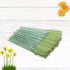 Beaupretty 100pcs Disposable Eyelash Brushes Crystal Rod Green Applicator for Mascara and Eyelash Makeup Easy to Use Portable for Salon Home view 3
