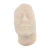 Backbayia Head Model Silicone Facial Teaching Model Mannequin Makeup Model for Massage Physiognomy view 4