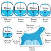 Linkidea Beard Shaping & Styling Tool with Comb, Beard Trimmer Template for Men, Clear Mustache Sideburns Outliner Stencil Lineup for Jaw Cheek Neck (Blue) view 4