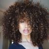 rosmile Curly Wigs for Black Women - Ombre Brown Mixed Synthetic Hair African American Full Afro Curly Wig with Bangs view 1
