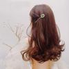 2PCS Women Lady Imitation Pearl Hairpin Metal Hair Barrettes Rhinestone Alloy Hair Clips Bobby Pins Ladies Hair Barrette Side Clip Hair Clip Hair Accessories view 2