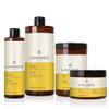 LINANGE Repair Mask with Shea Butter & Coconut Oil 500ml/16.9 oz - Free Starry Lip Plumping Gloss 10ml view 3