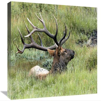 22 in. The Mud Bath Art Print - Vic Schendel