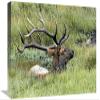 22 in. The Mud Bath Art Print - Vic Schendel view 1