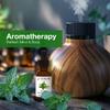 STAR CARE 100% Pure Oil (Peppermint) view 4