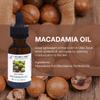STAR CARE 100% Pure Macadamia Oil 1 oz (30ml) Premium Virgin Macadamia Nut Oil for Hair Skin Face Nails Deeply Moisturizing Fast-Absorbing Carrier Oil with Dropper view 2
