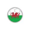 Meme Series Womaha 40 Sheets Wales Flag Temporary Tattoos for Kids Football Temporary Face Tattoos view 4
