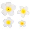 Balacoo Flower Hair Clips- Hawaiian Flower Hair Clip, 4pcs Artificial Plumeria Hairpin Accessories for Beach Wedding Women Party view 1