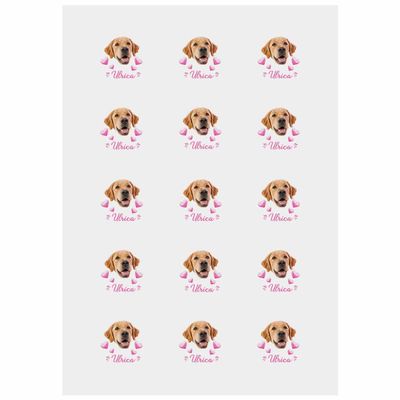 Custom Dog Temporary Tattoos Fake Tattoos for Kids - Waterproof Tattoo Pet's Birthday Tattoos Happy Birthday Jesus Party Supplies