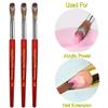 PCUORLEORS Acrylic Nail Brush with 100% Pure Kolinsky Sable Hair and Red Wood Hand, Professional Kolinsky/Gel Brush for Acrylic Application (size 12) view 3