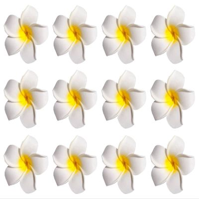 12Pcs Hawaii Plumeria Hair Clips Boho Foam Flower Alligator Hairpin Hibiscus Barrette for Beach Party Wedding Cosplay Handmade Accessory