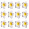 12Pcs Hawaii Plumeria Hair Clips Boho Foam Flower Alligator Hairpin Hibiscus Barrette for Beach Party Wedding Cosplay Handmade Accessory view 1