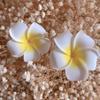 12Pcs Hawaii Plumeria Hair Clips Boho Foam Flower Alligator Hairpin Hibiscus Barrette for Beach Party Wedding Cosplay Handmade Accessory view 2