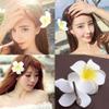 12Pcs Hawaii Plumeria Hair Clips Boho Foam Flower Alligator Hairpin Hibiscus Barrette for Beach Party Wedding Cosplay Handmade Accessory view 3