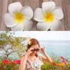 12Pcs Hawaii Plumeria Hair Clips Boho Foam Flower Alligator Hairpin Hibiscus Barrette for Beach Party Wedding Cosplay Handmade Accessory view 4