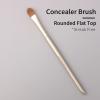 ENZO KEN Flat Concealer Brush Under Eye, Concealer Brush, Small Flat Makeup Brushes, Under Eye Brush Concealer, Flat Brush Under Eye. - Glod, E201M view 2