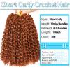 10 Inch Short Passion Twist Hair 8 Bundles Marlybob Crochet Hair Kinky Curly Crochet Hair for Black Women (8Bundles10 Inch, 30#) view 2