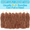 10 Inch Short Passion Twist Hair 8 Bundles Marlybob Crochet Hair Kinky Curly Crochet Hair for Black Women (8Bundles10 Inch, 30#) view 4